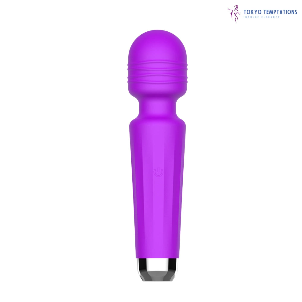 Mini Microphone Vibrator USB Charging Body Massager Purple